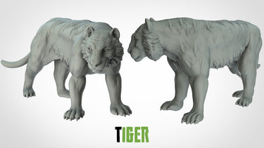 Tigers
